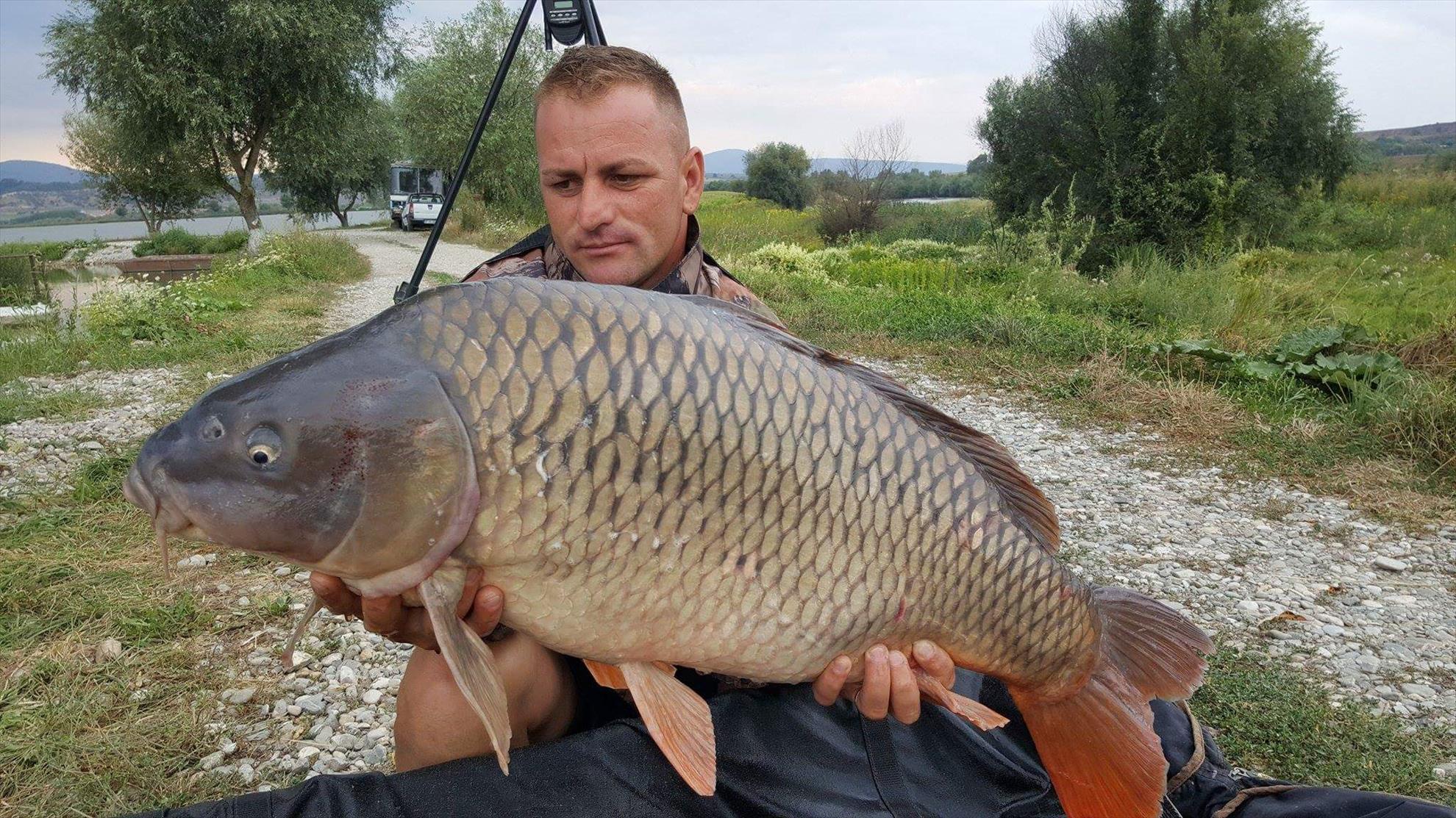 Cupa Mg special carp - received863528187127649.jpeg